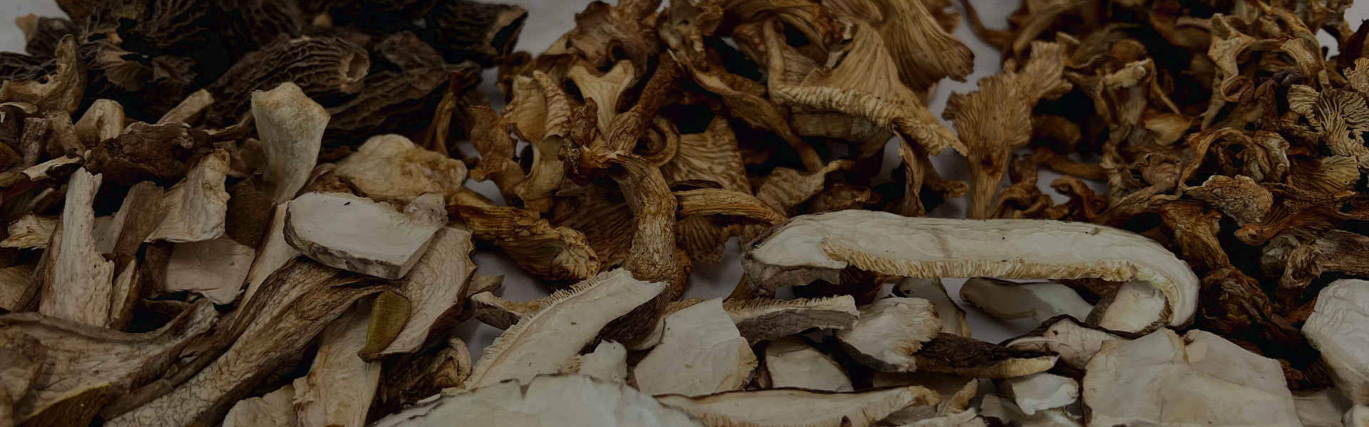 Clover Specialties Mushrooms